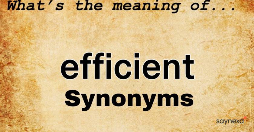 Efficient Synonyms