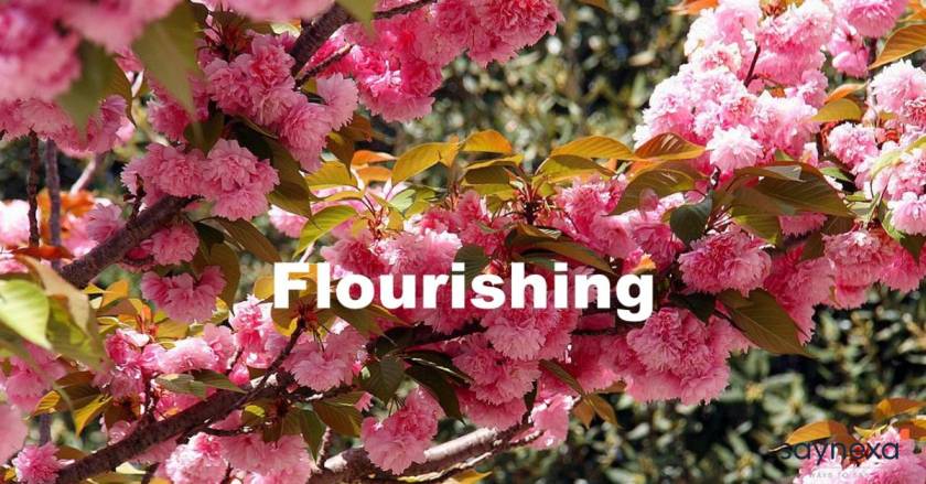 Flourishing